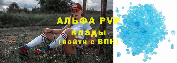 дмт Нея