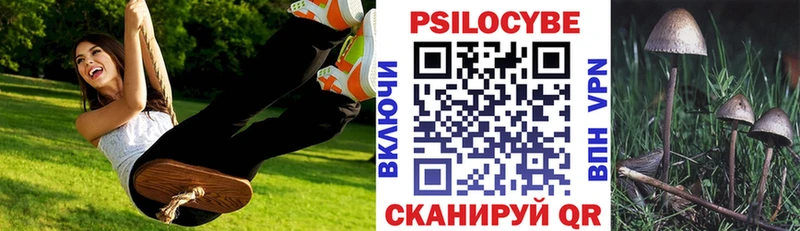 Псилоцибиновые грибы Psilocybine cubensis  купить  цена  Новокузнецк 